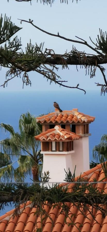 Casa Moja - La Palma Villa Tazacorte Dış mekan fotoğraf